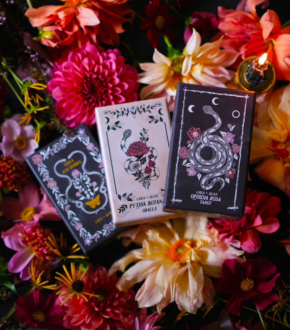 @Nicole 🥀 Art & Floral Magic