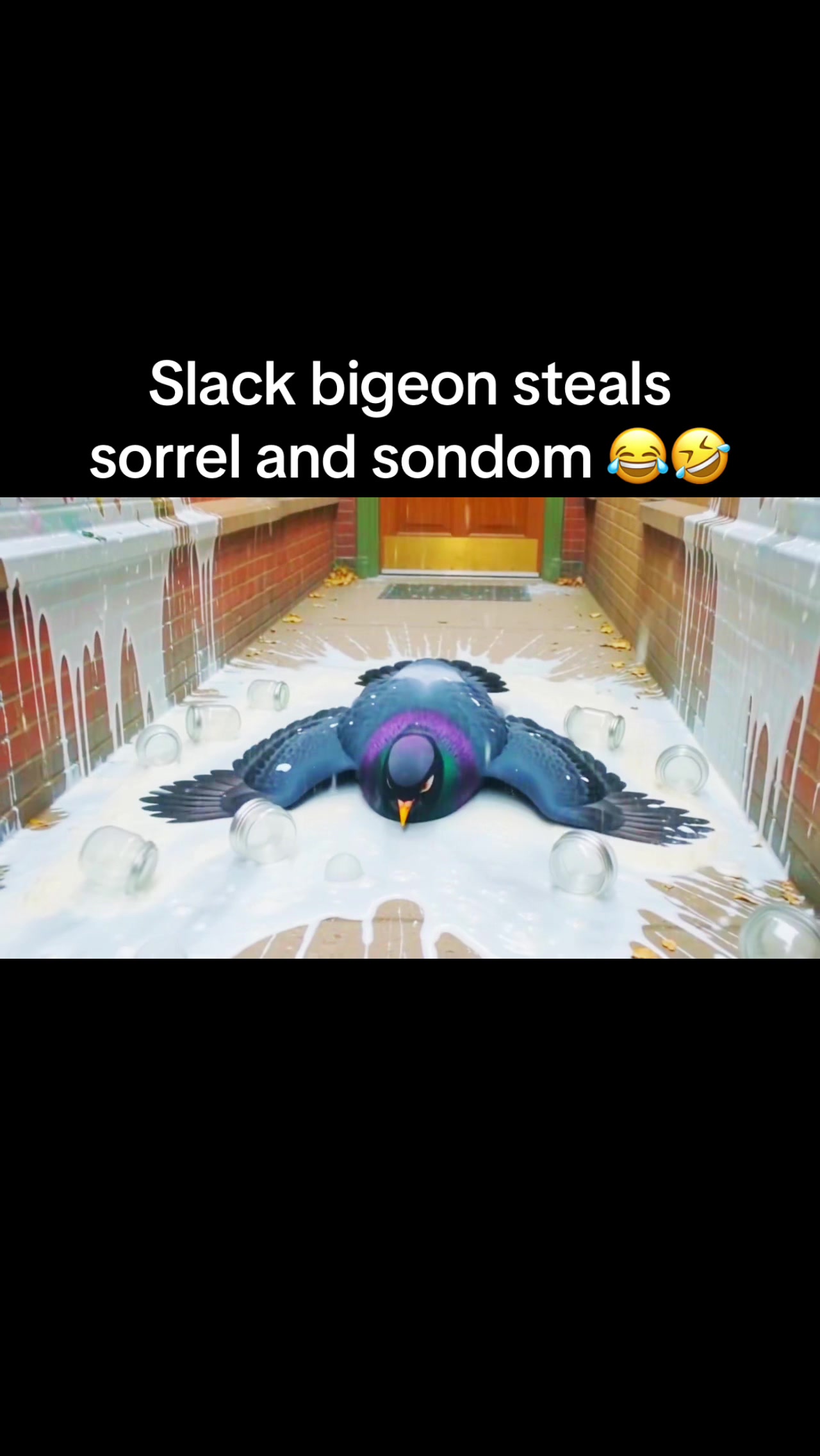 @SigeonPexOfficial