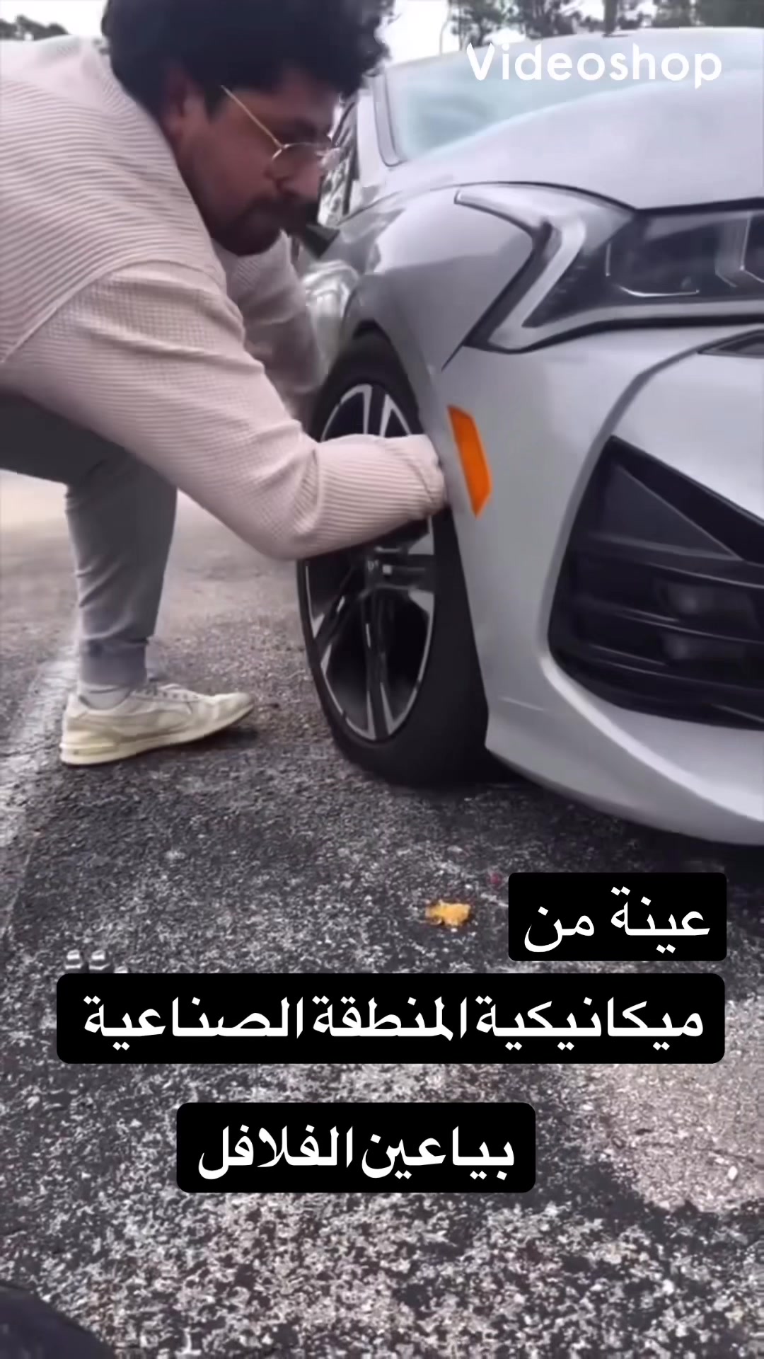 @Canadastallion 🇨🇦 الأصيل