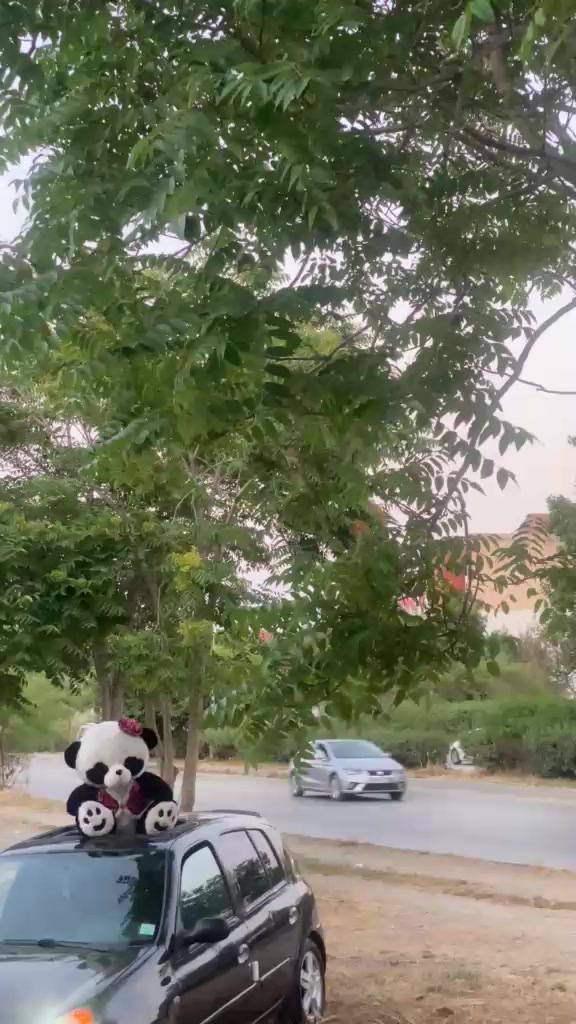 @H&atilde;mz&atilde; gti