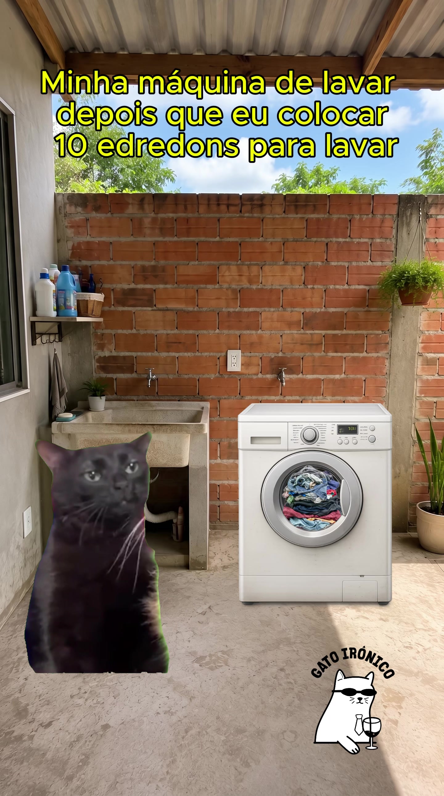 @gato ironico