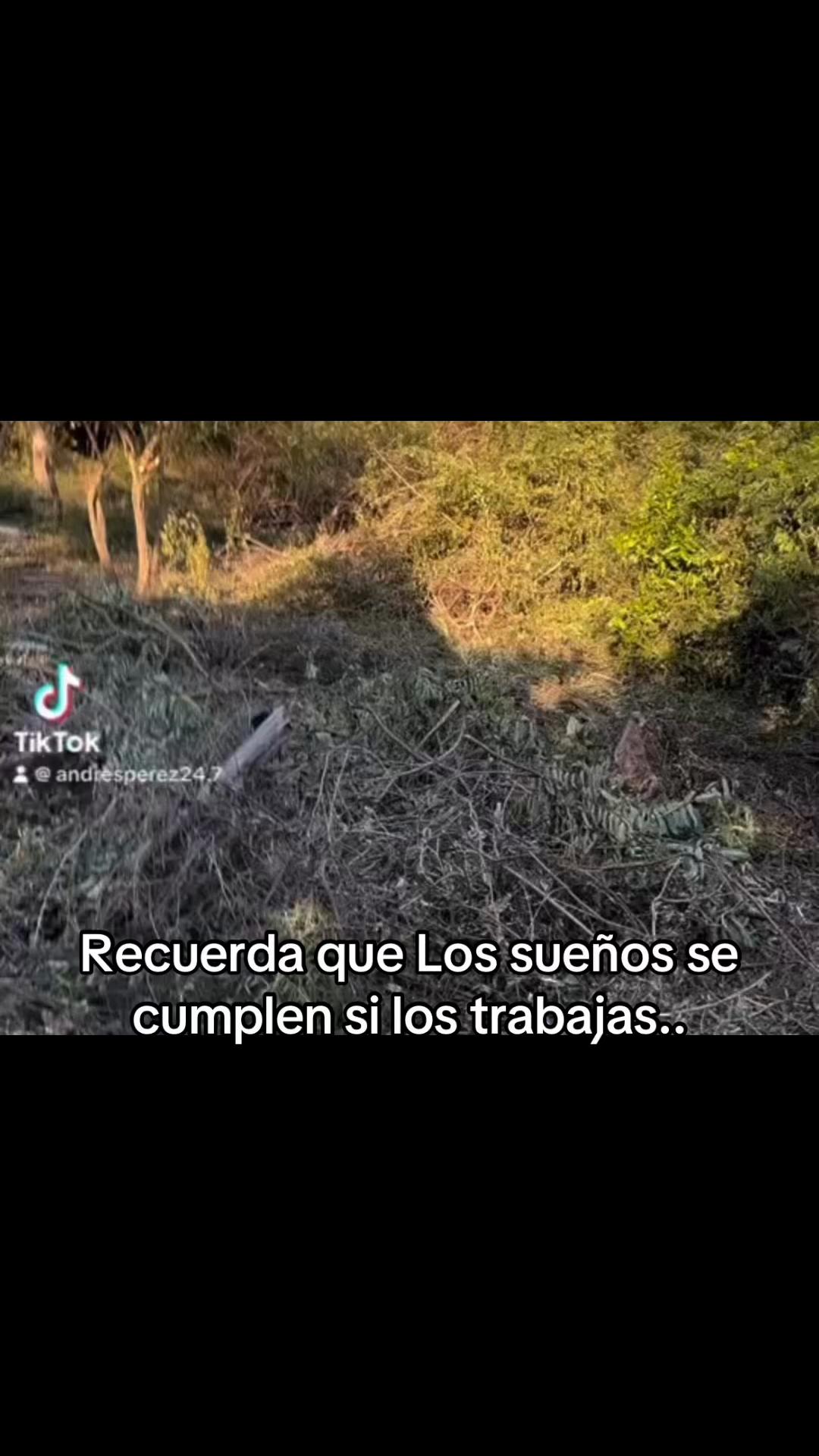 @D.p