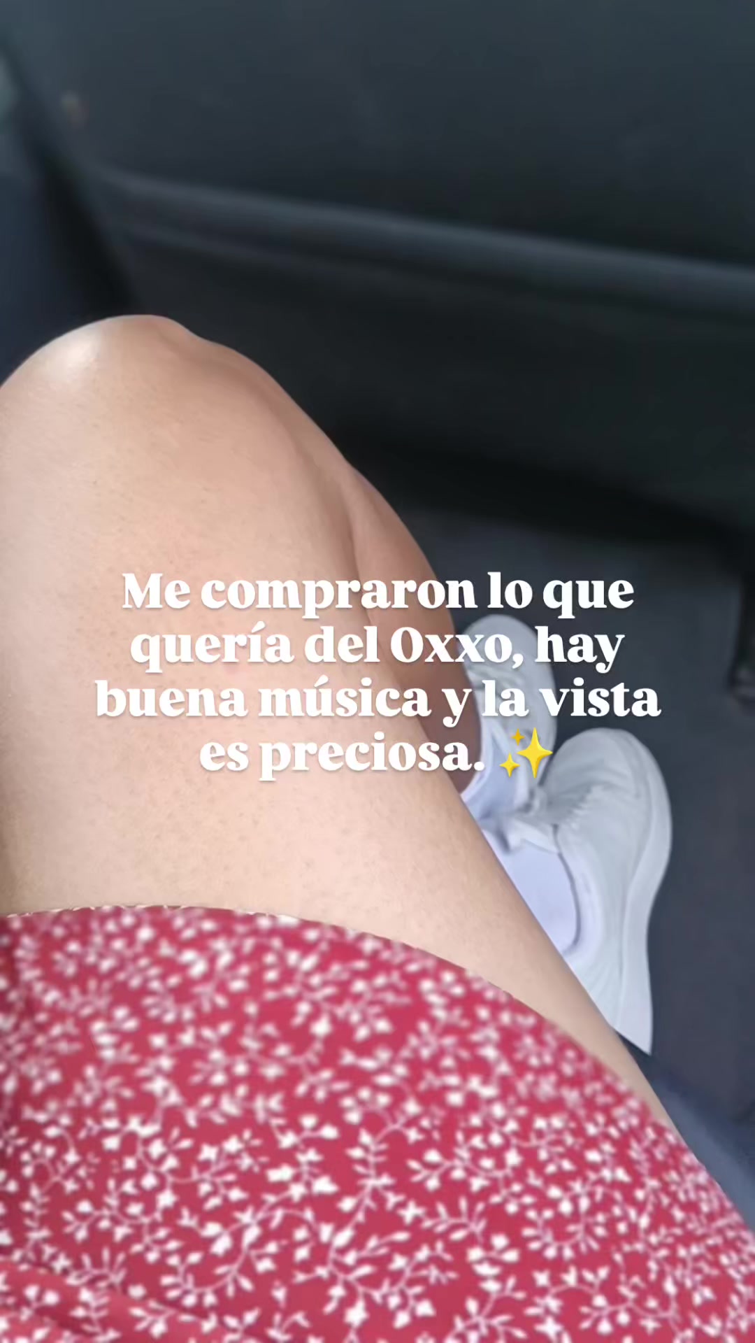 @Nancy Sánchez