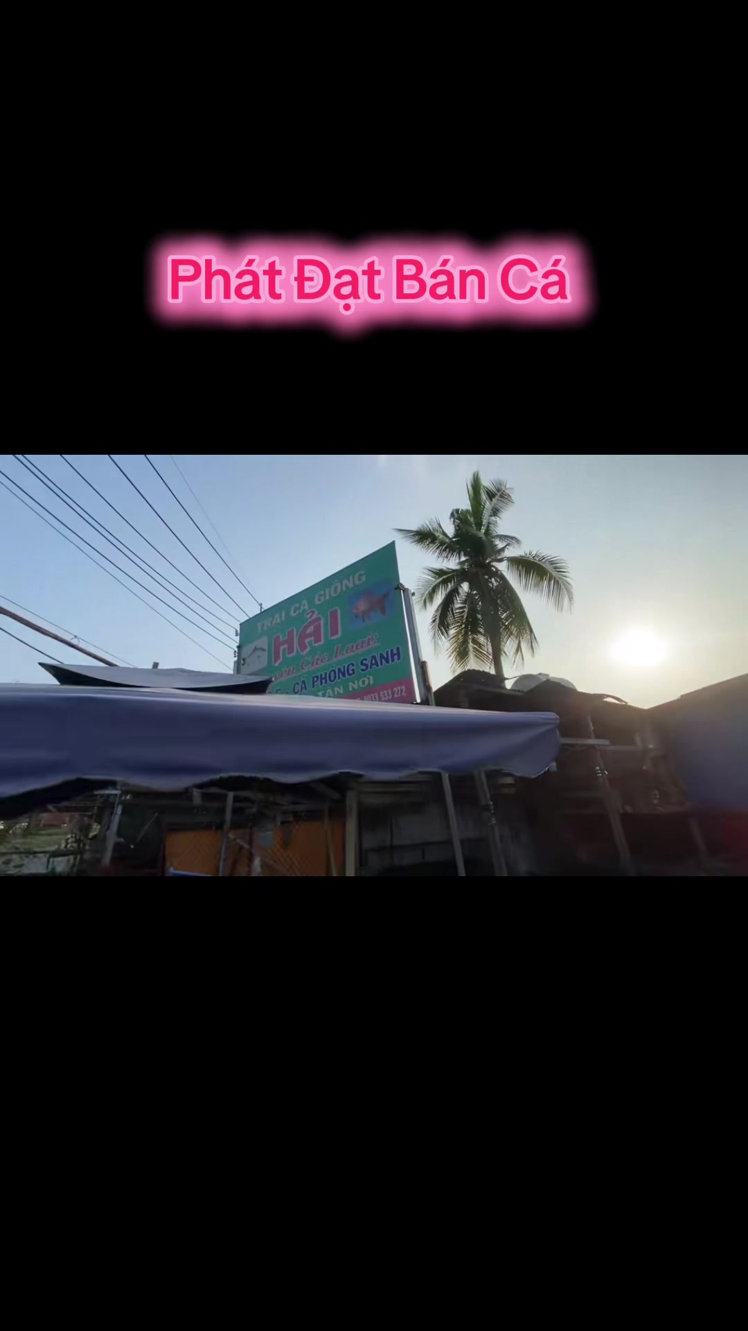 @Ph&aacute;t Đạt B&aacute;n C&aacute; 😎🐠🦈