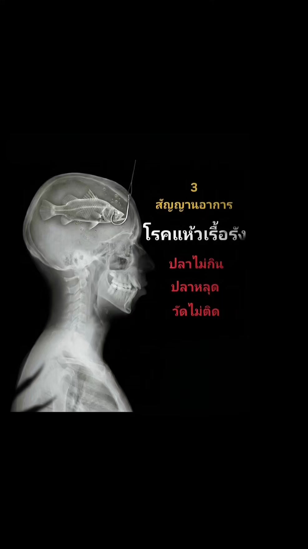 @โตโต้Shadow🎣