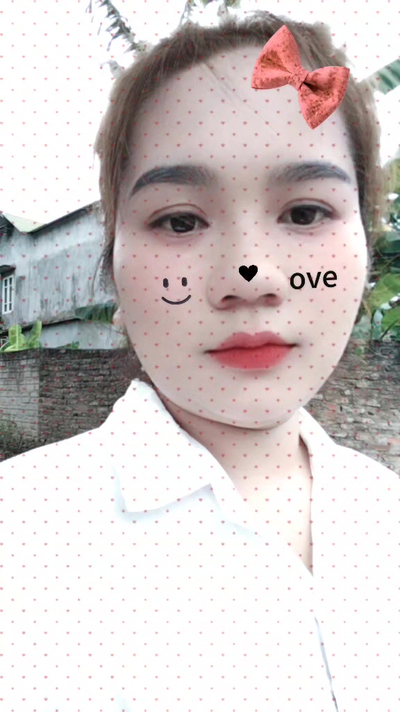 @❤️hoa núi rừng ❤️