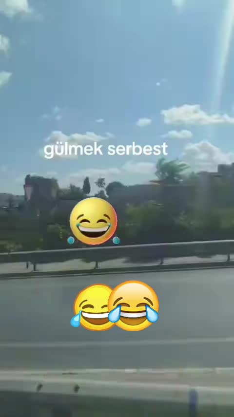 @İstanbul pati dunyasi