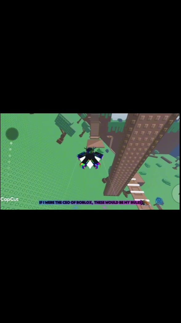 @cayrobloxx1