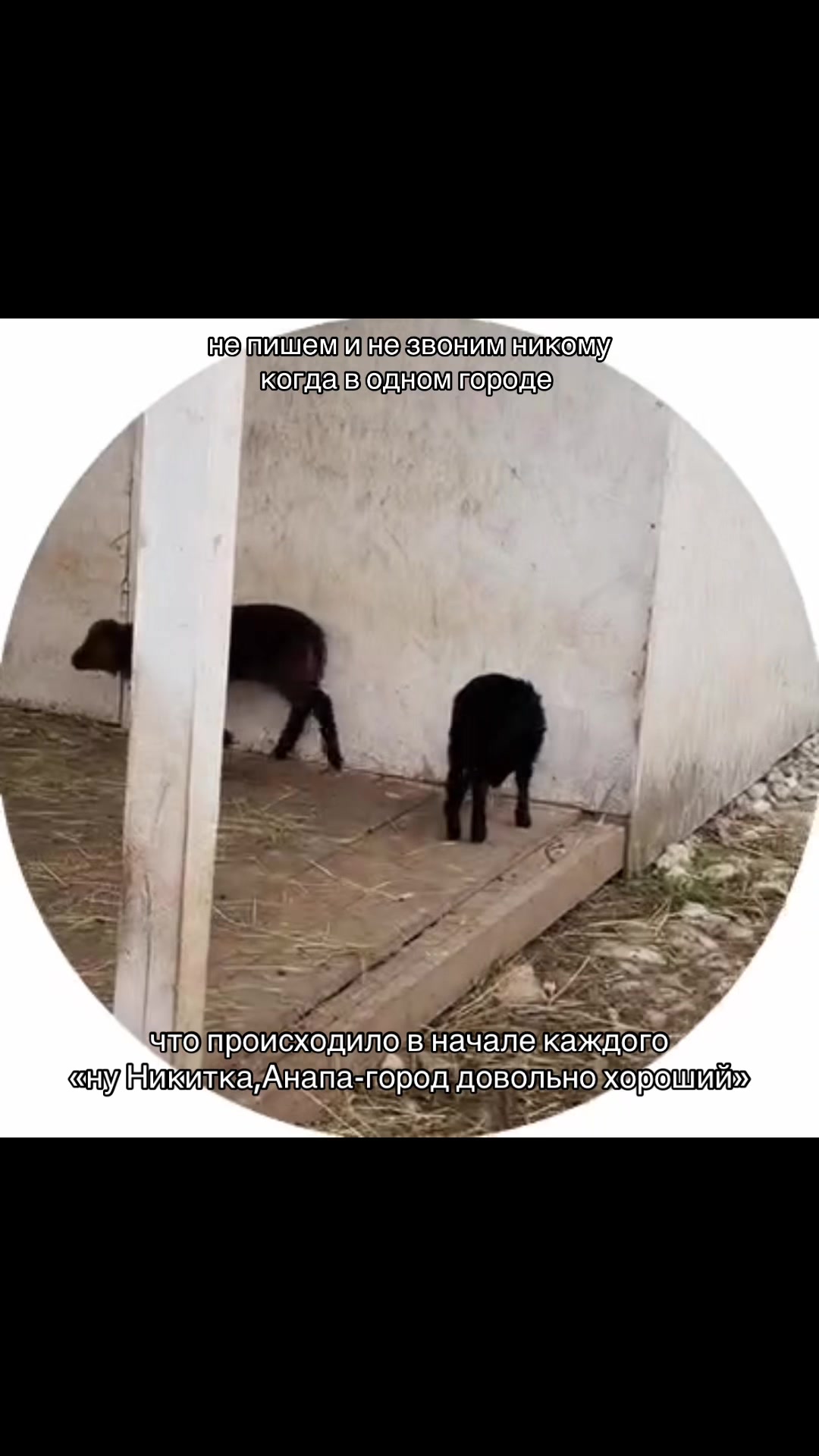 @Рая блин не из рая😫