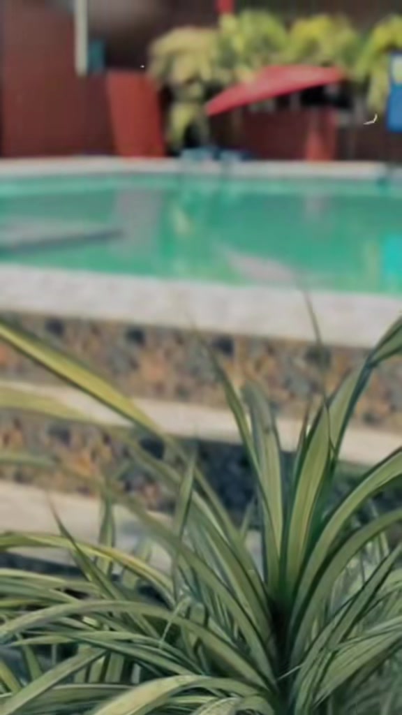 @Angela's Private Resort