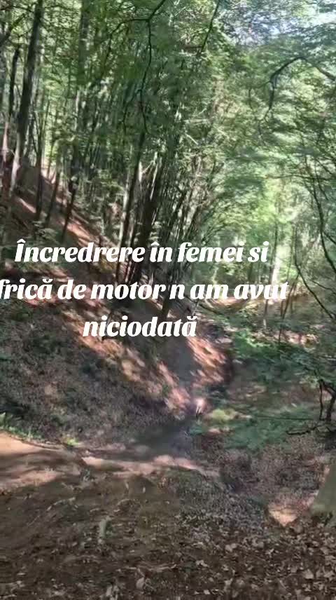 @Ionicã Sulica