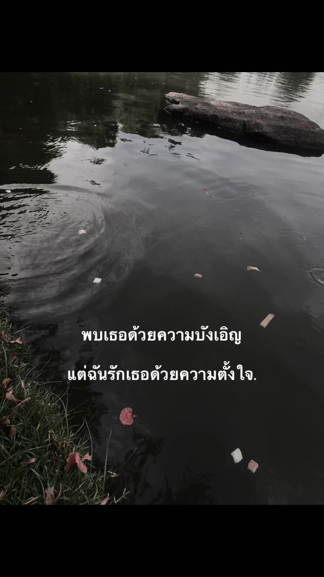 @หมาล่า (121.9K)