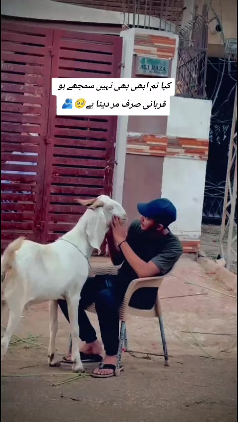@Zayd