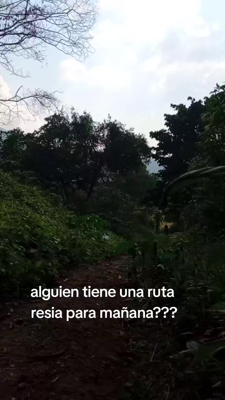 @Josué García