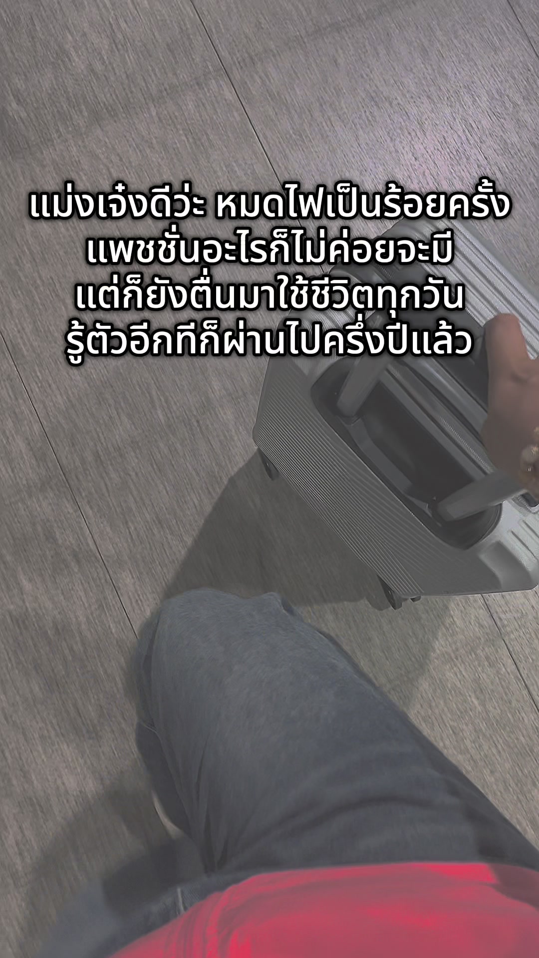 @Chu 🪼(ชุ)