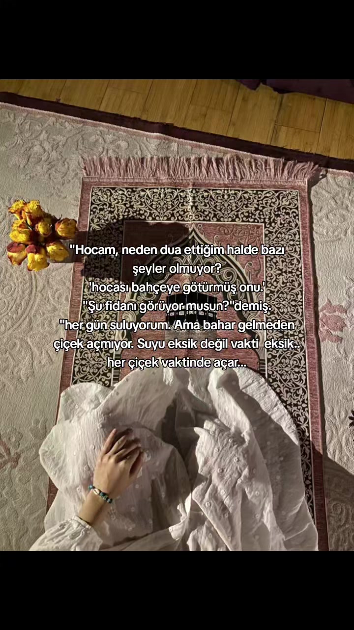 @༄𝑒𝑓𝑡𝑒𝑙𝑦𝑎༄