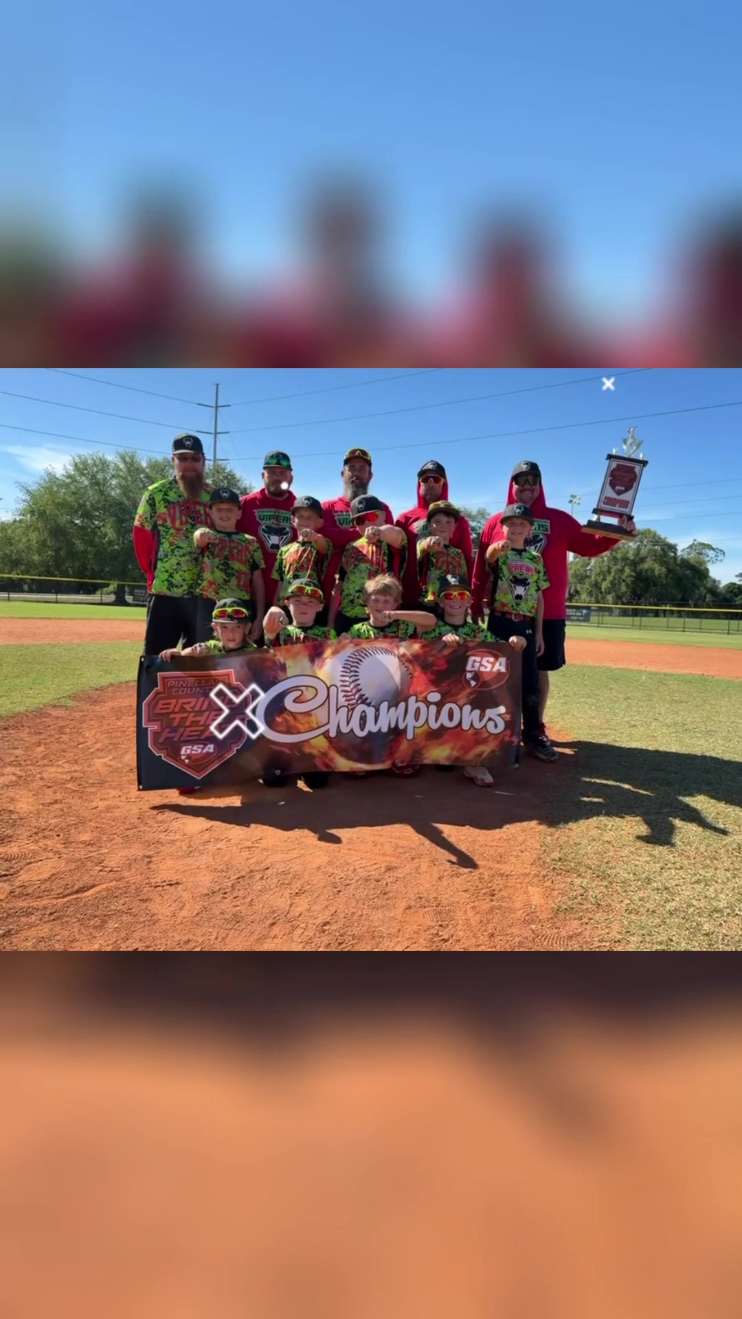 @Brooksville Vipers Baseball