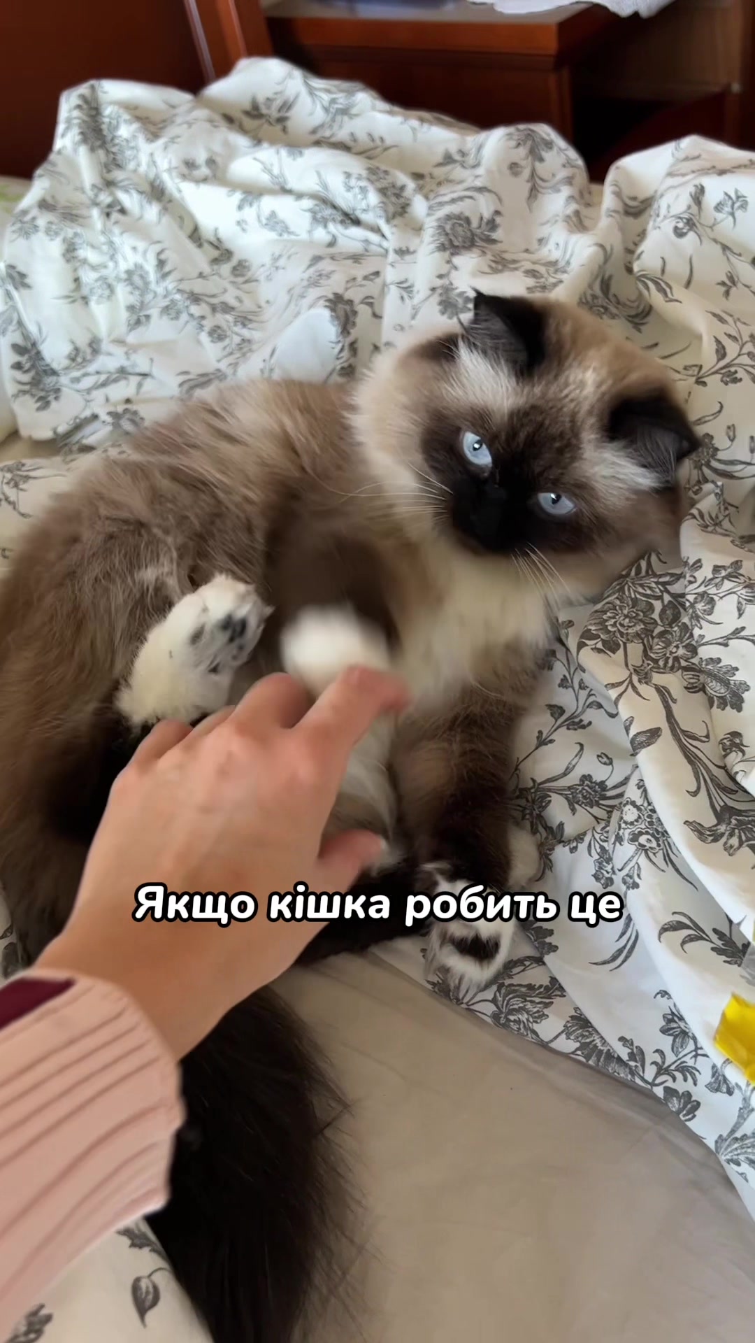 @Місс КІСЯ