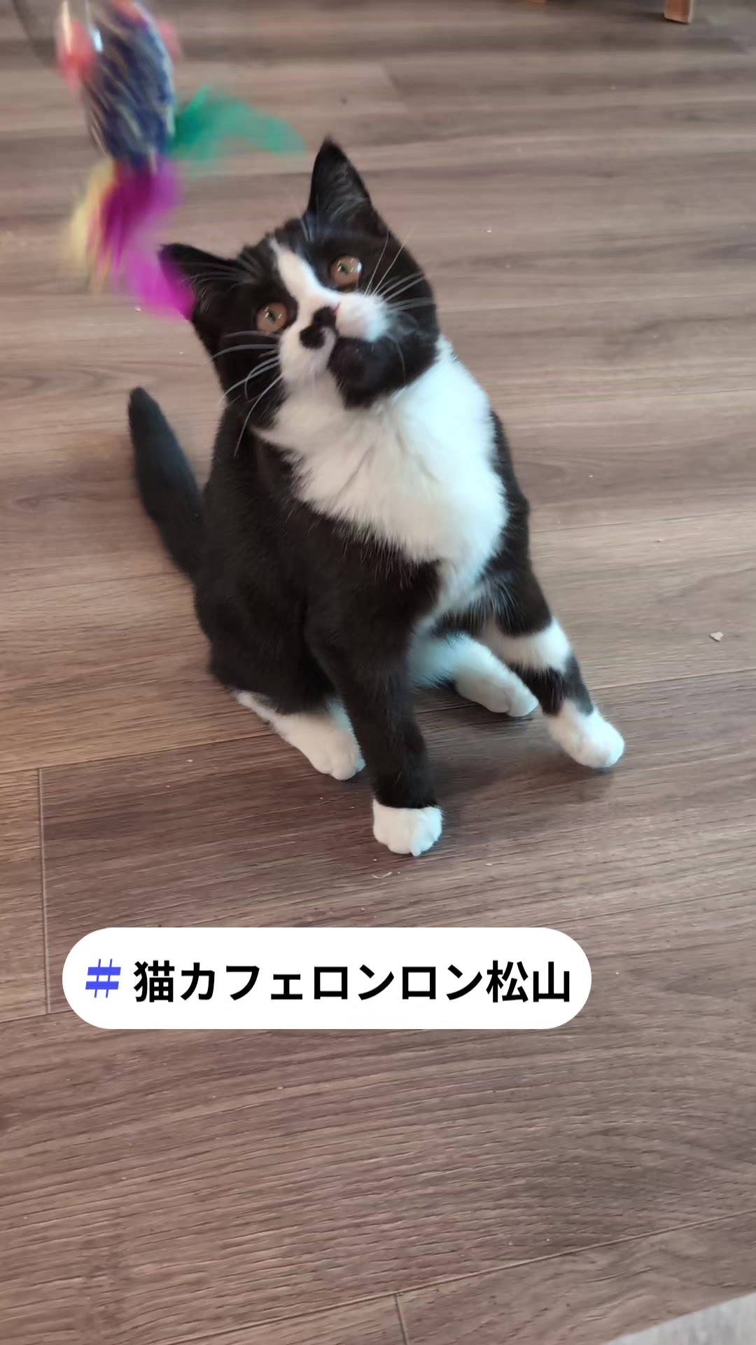 @りょうた