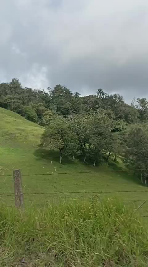 @Alejandra segundo