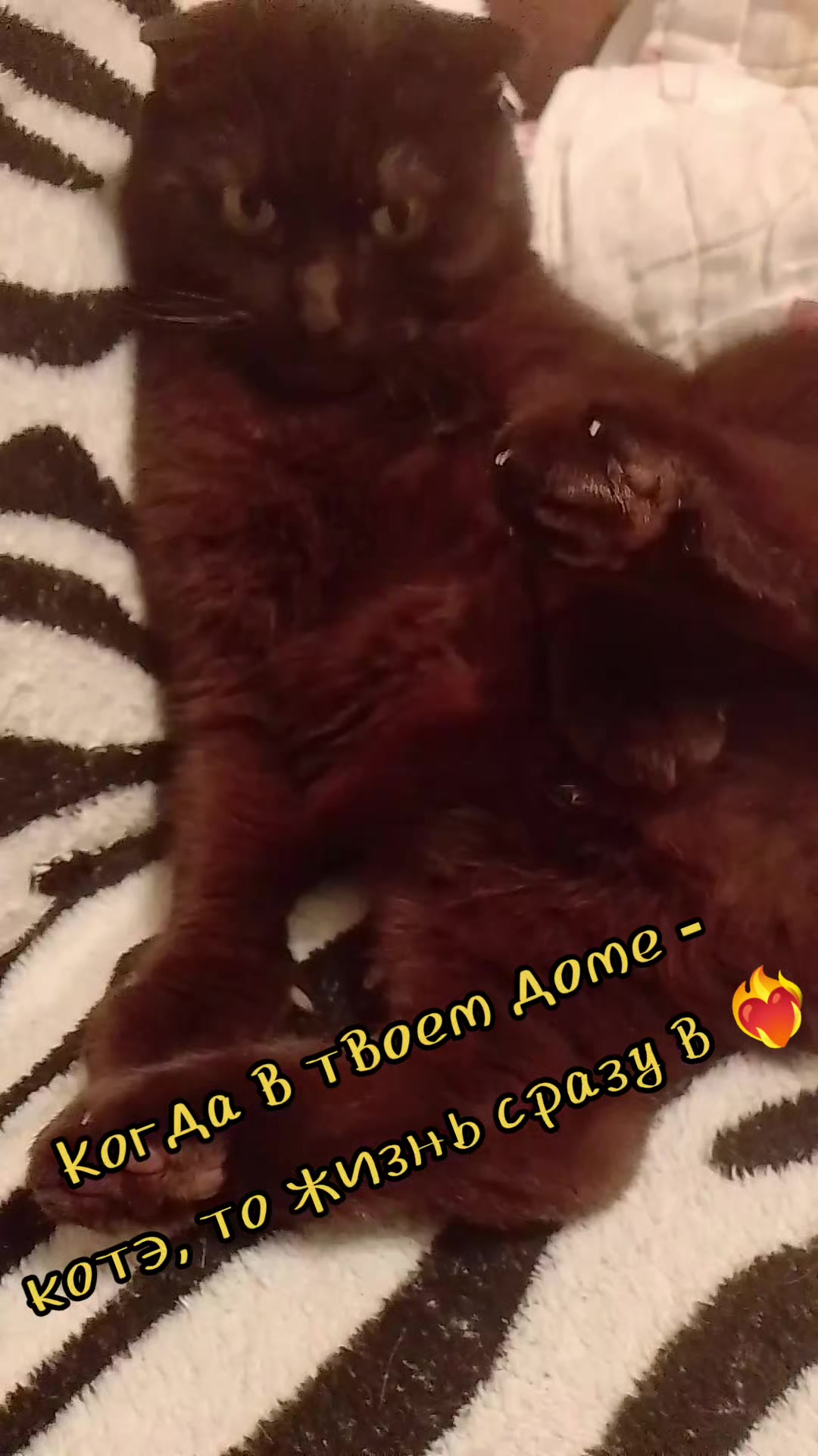 @olgayakovleva90