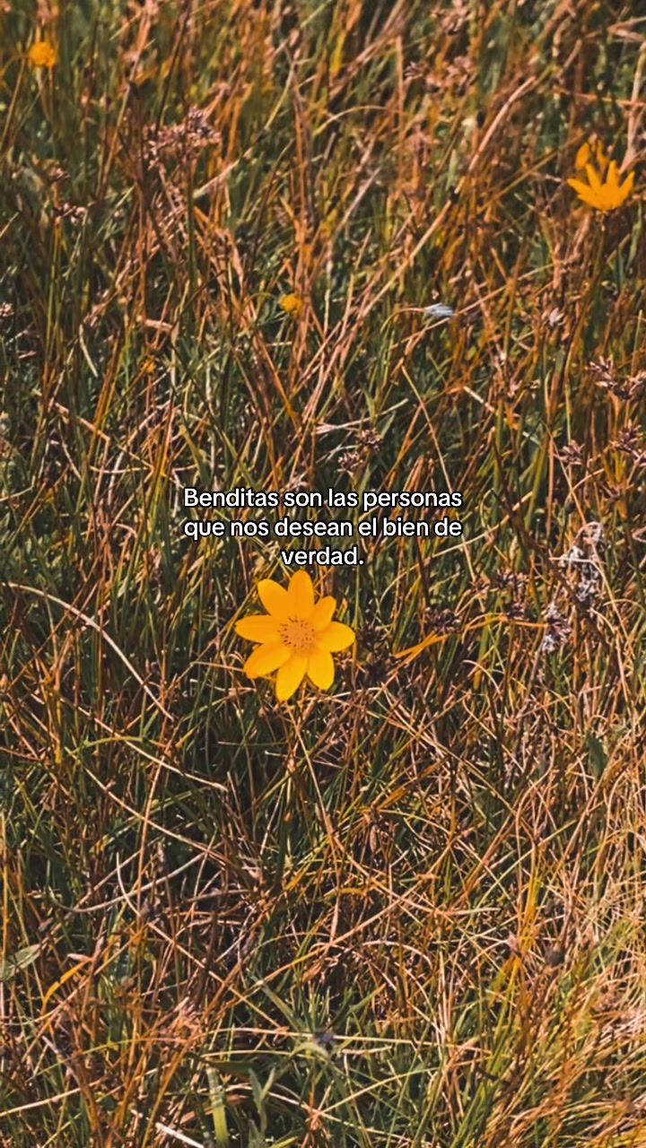 @hell.mz20