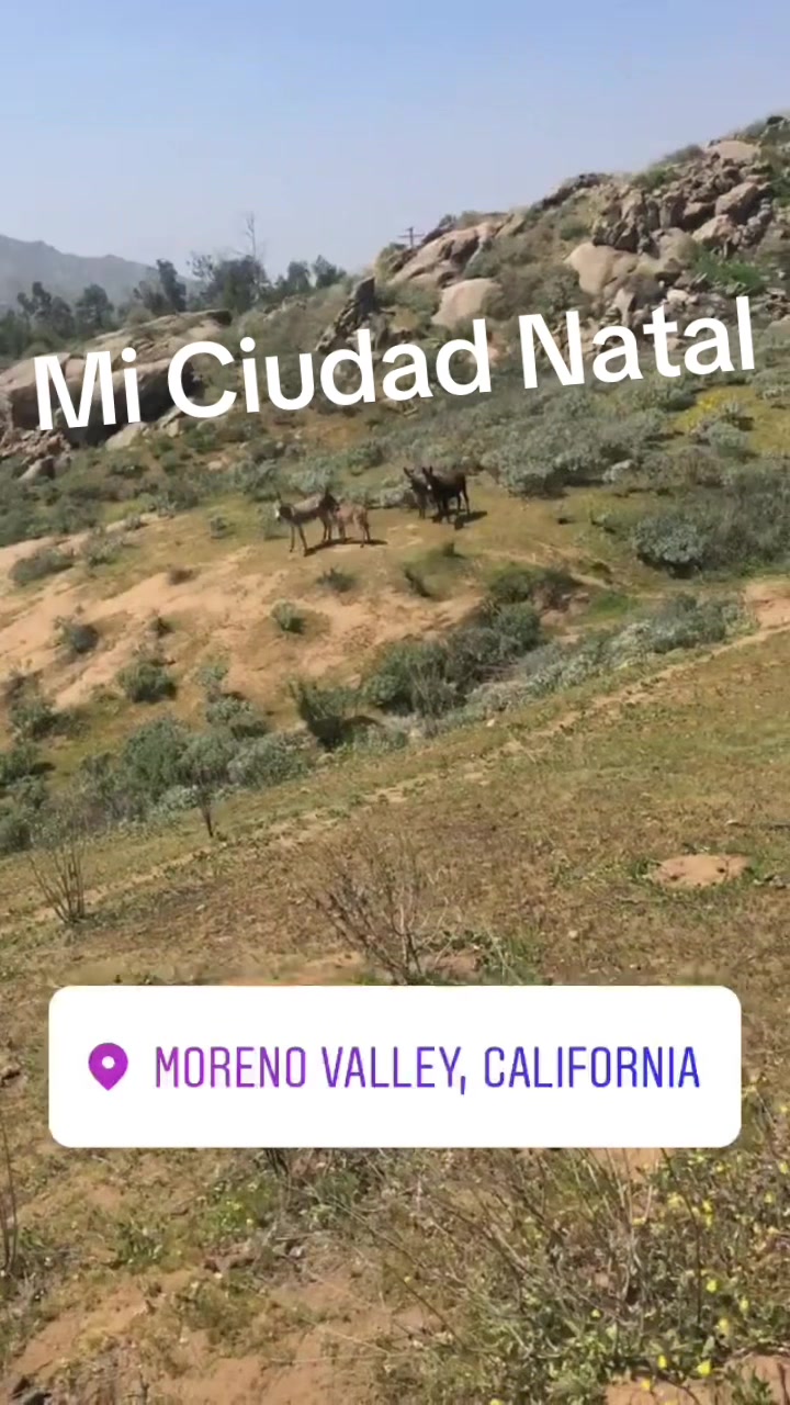 @alejandronu&ntilde;ez007