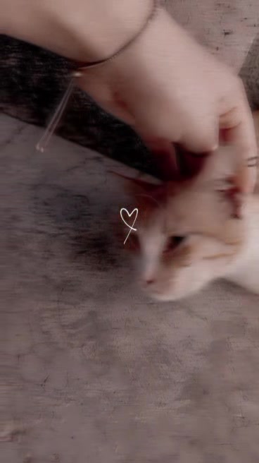 @𓆩𝑨𝑫𝑳𝑩𝑰𝑯💚Wآدلـــبية𓆪