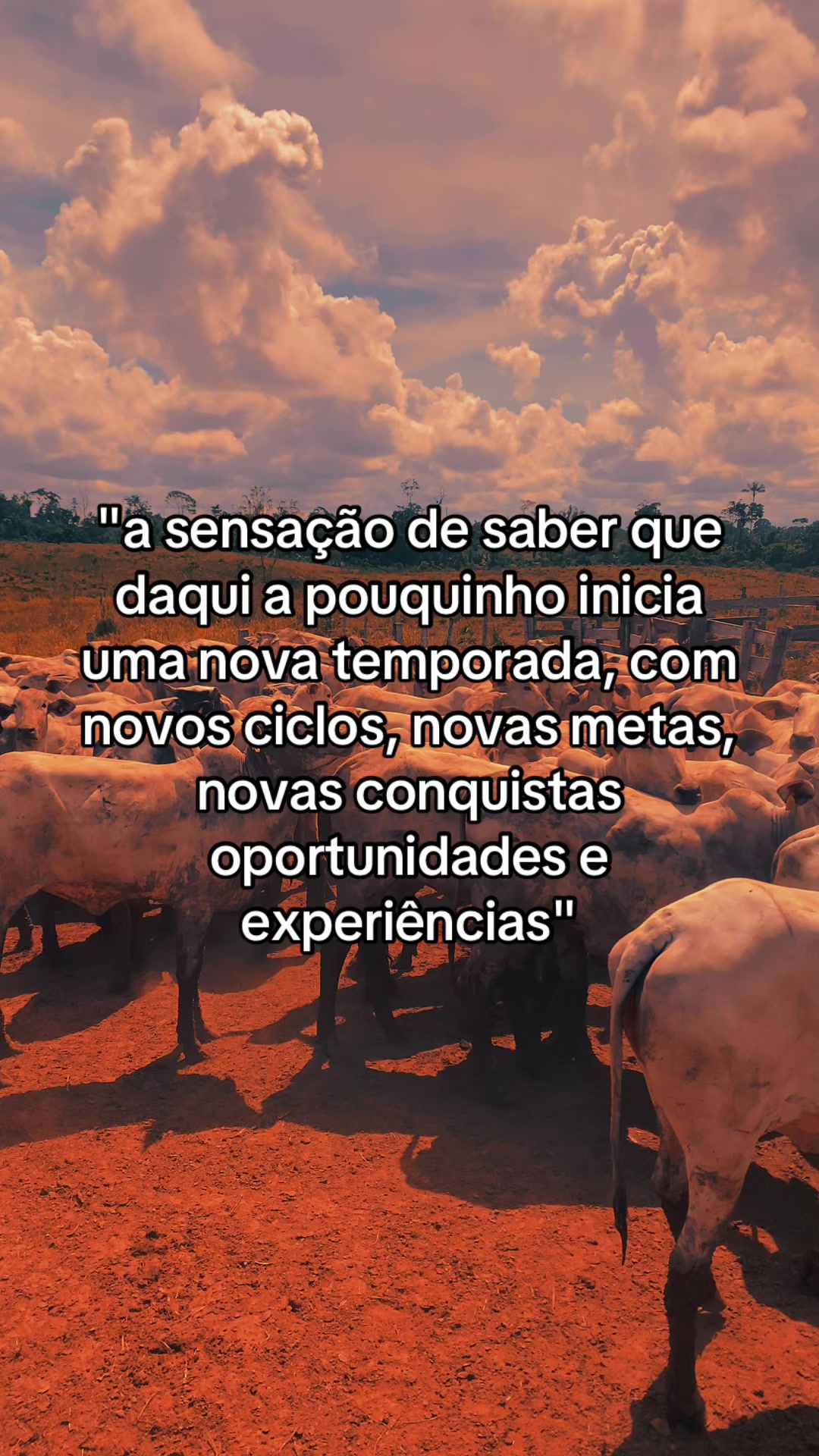 @📿K&Aacute;SSIO.agro𓃗🤠