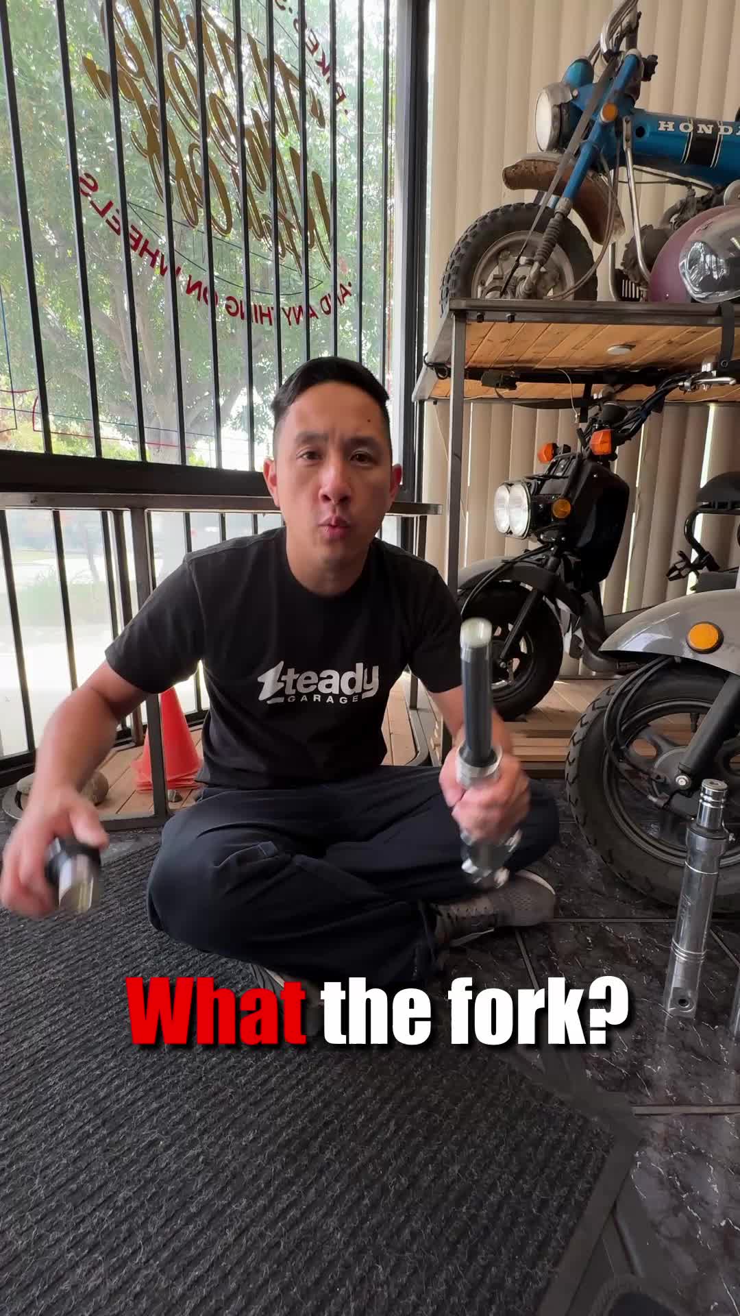 @Steady Garage