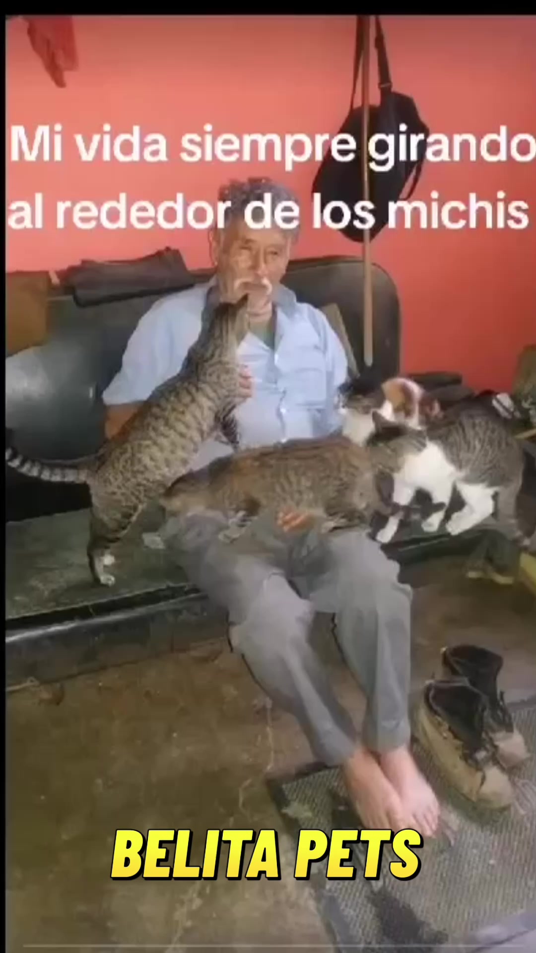 @BelitaPets