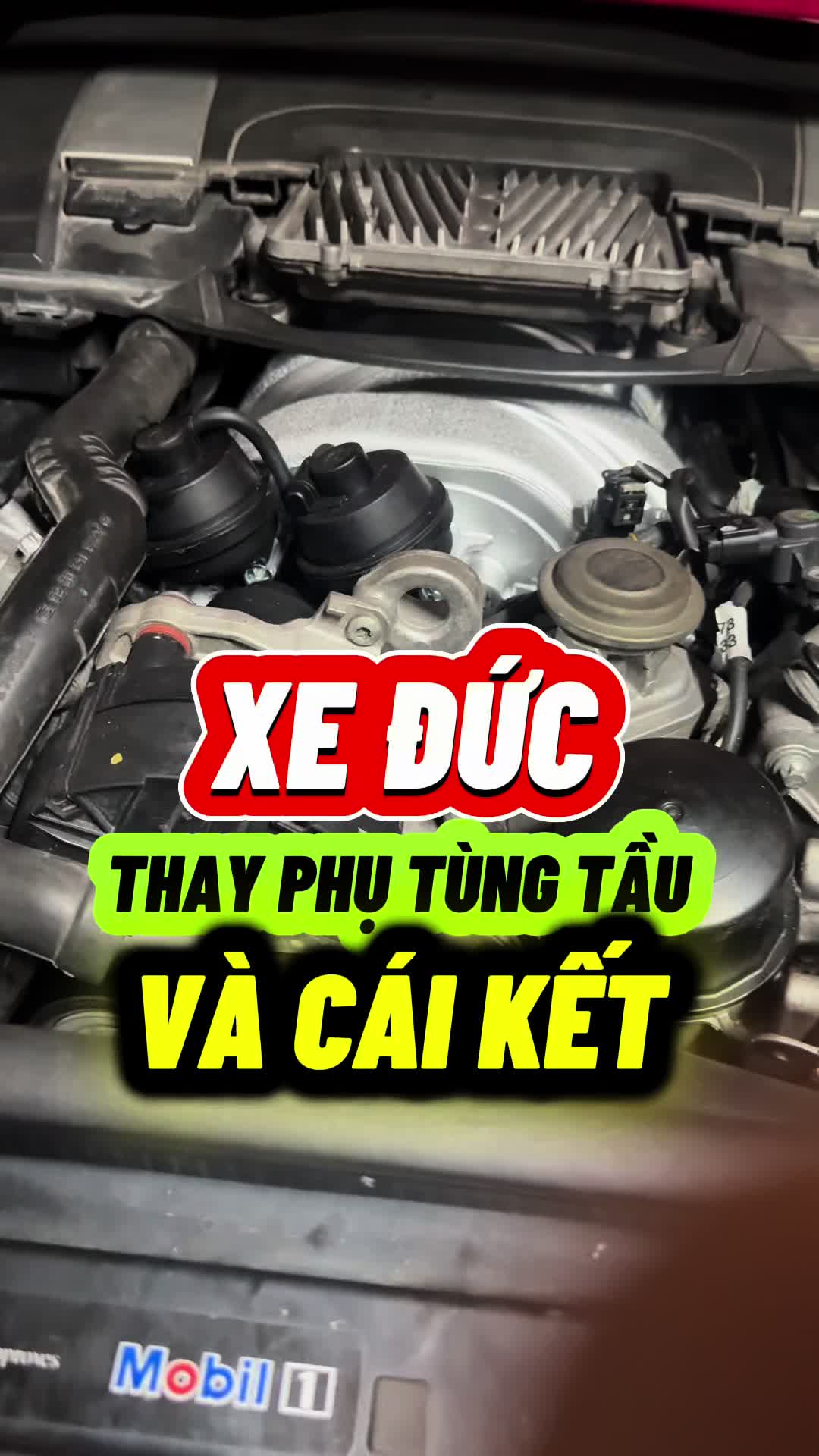 @Phụ Kiện Trang Tr&iacute; Xe ATOCAR