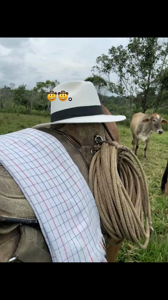 @David Silva