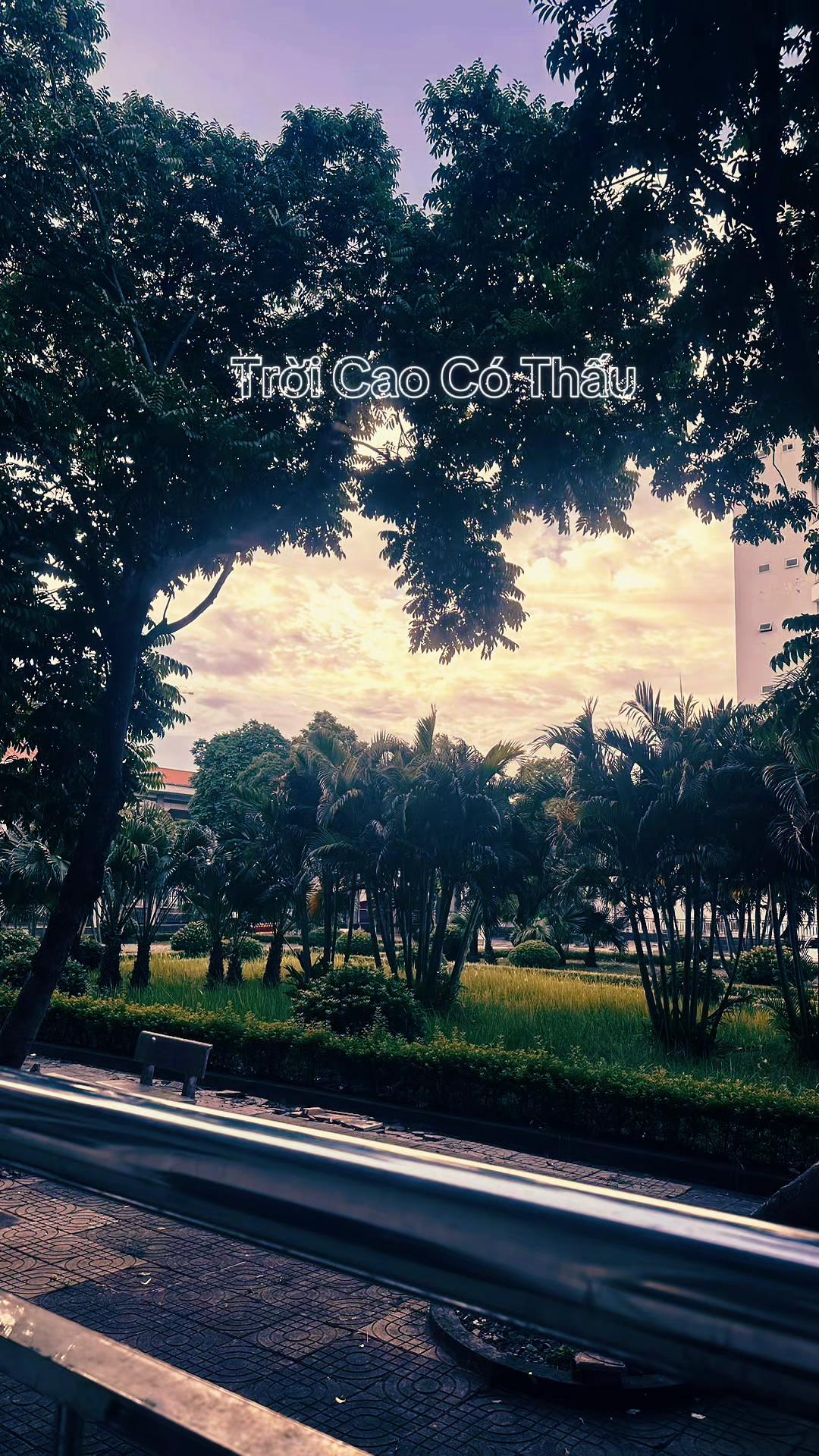 @Ho&agrave;ng Nam