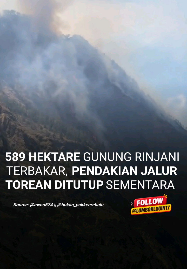 @LOMBOK LOGIN
