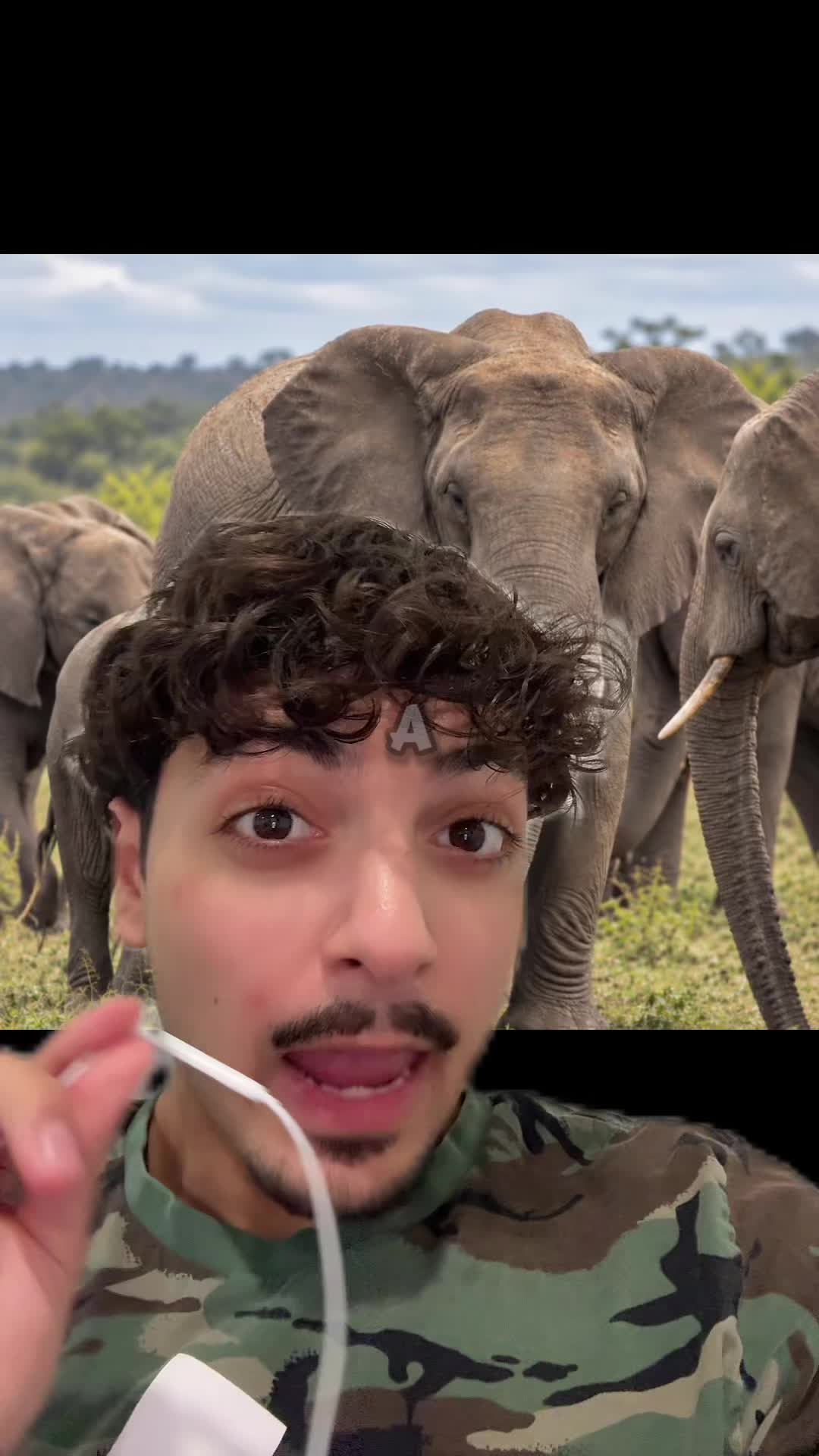 @Sbladn