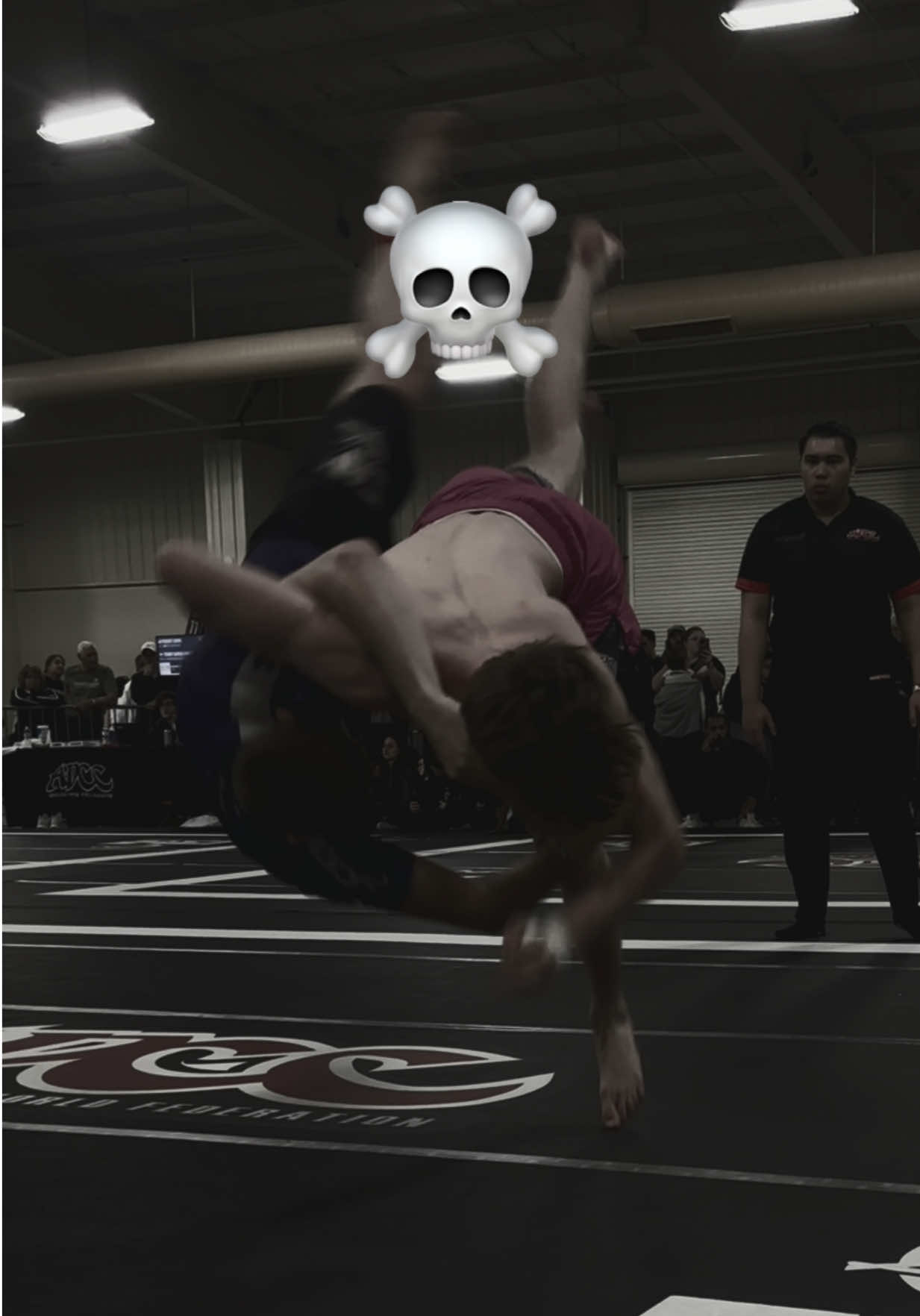 @thefunkygrappler