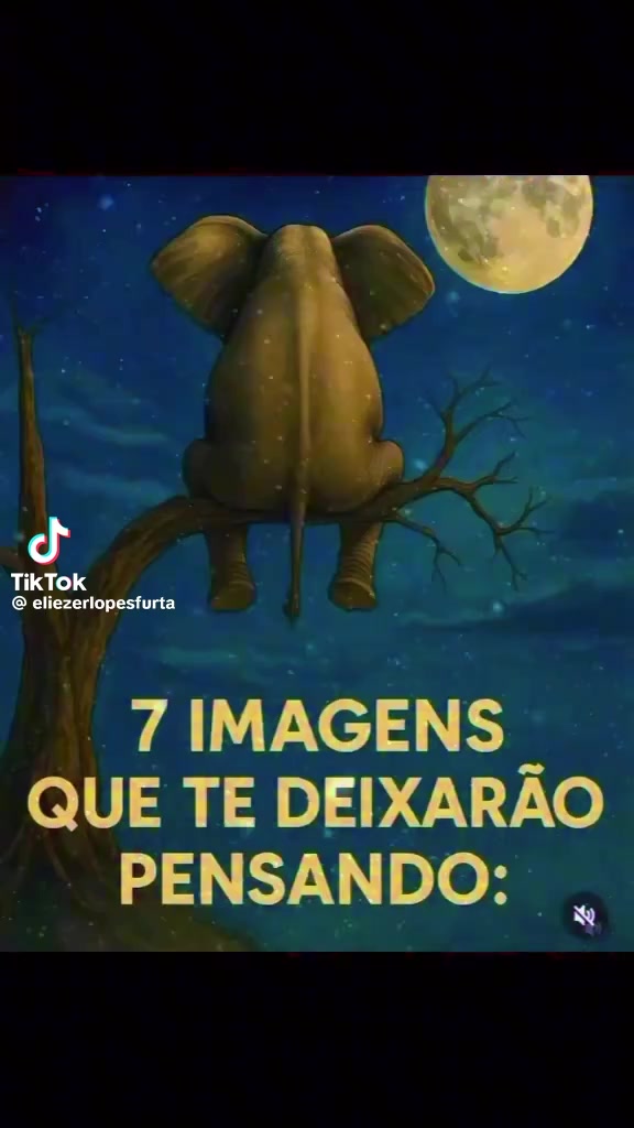 @Eliza Hara