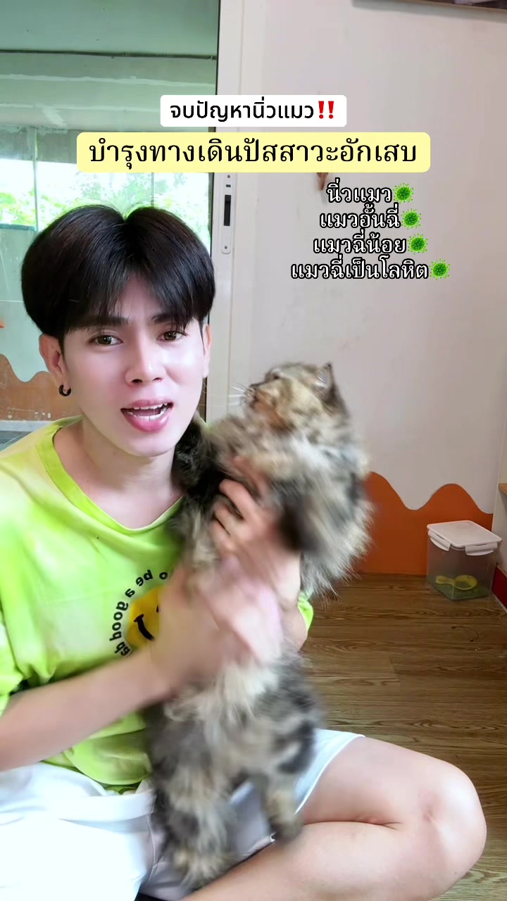 @ตาต้น กับลูกๆทั้ง20ตัว🐈