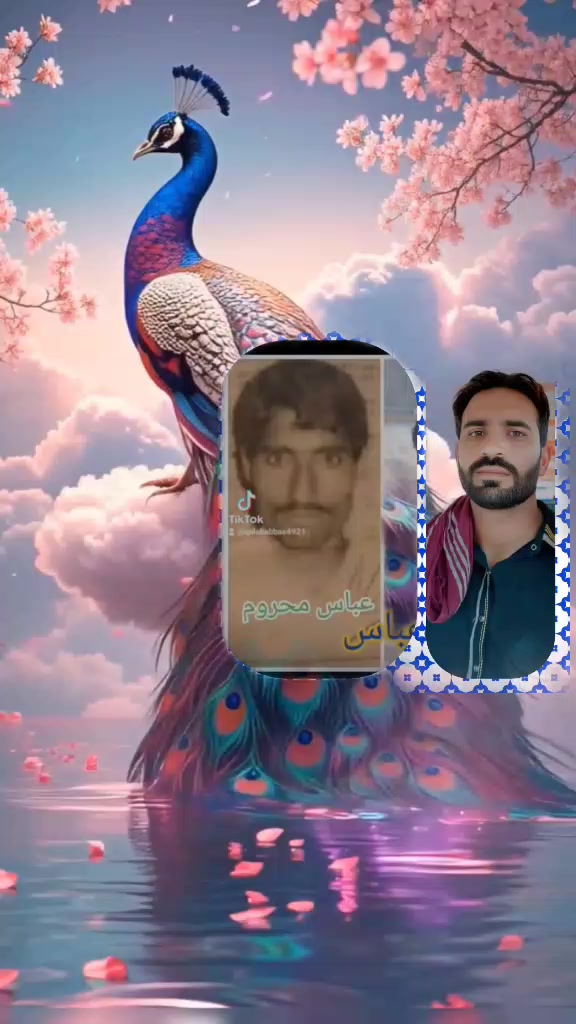 @QalabAbbas