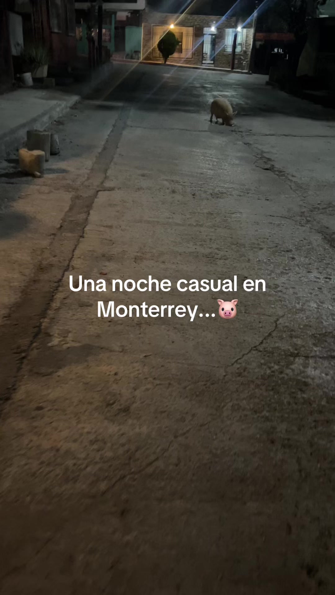 @Leydi Murillo🌸✨