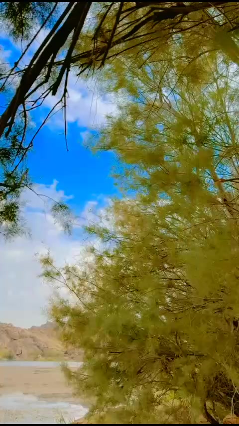 @Maya Khan