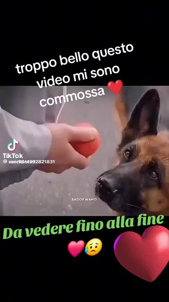 @♥️ Annamaria Gristina ♥️