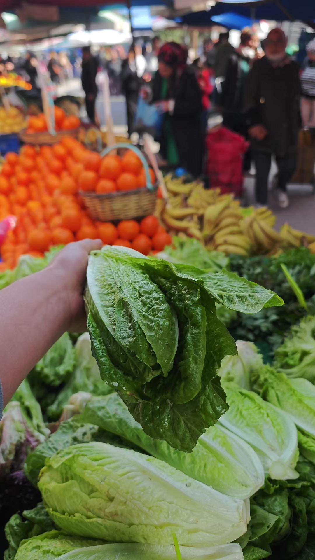 @Alan Tarım &Uuml;r&uuml;nleri 🥗