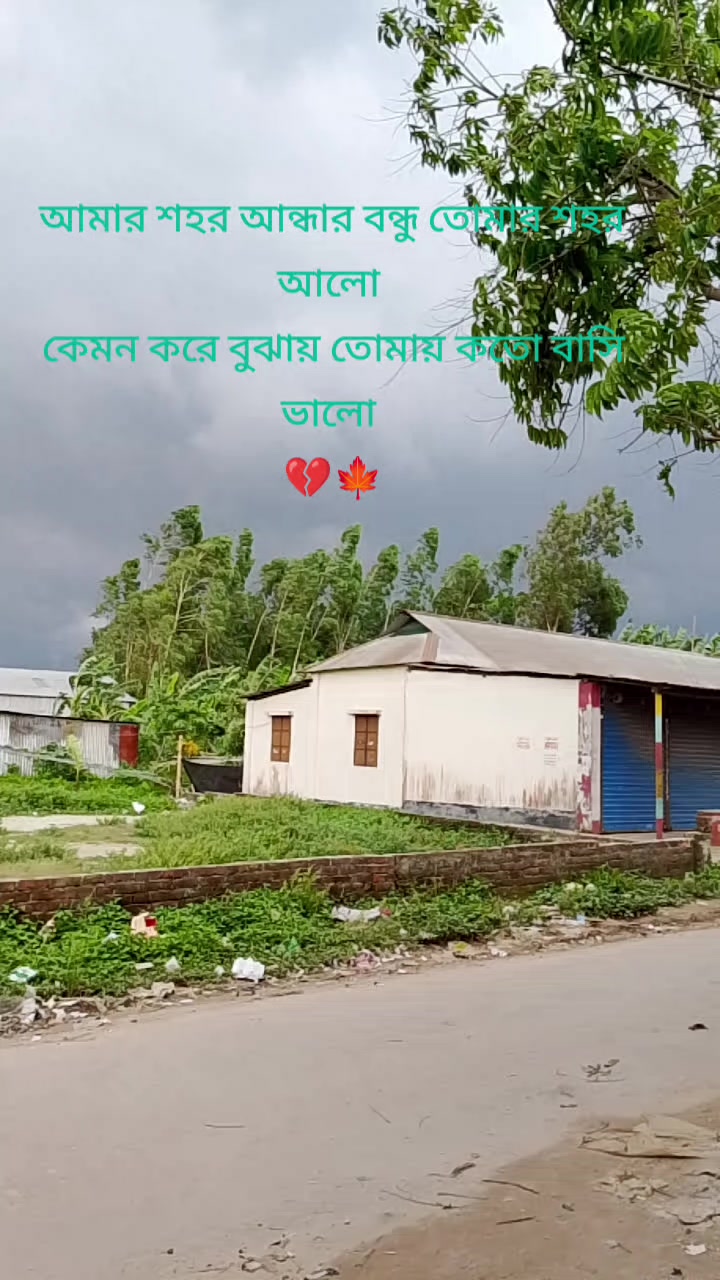 @মায়াবী রাজ কন্যা 🌺