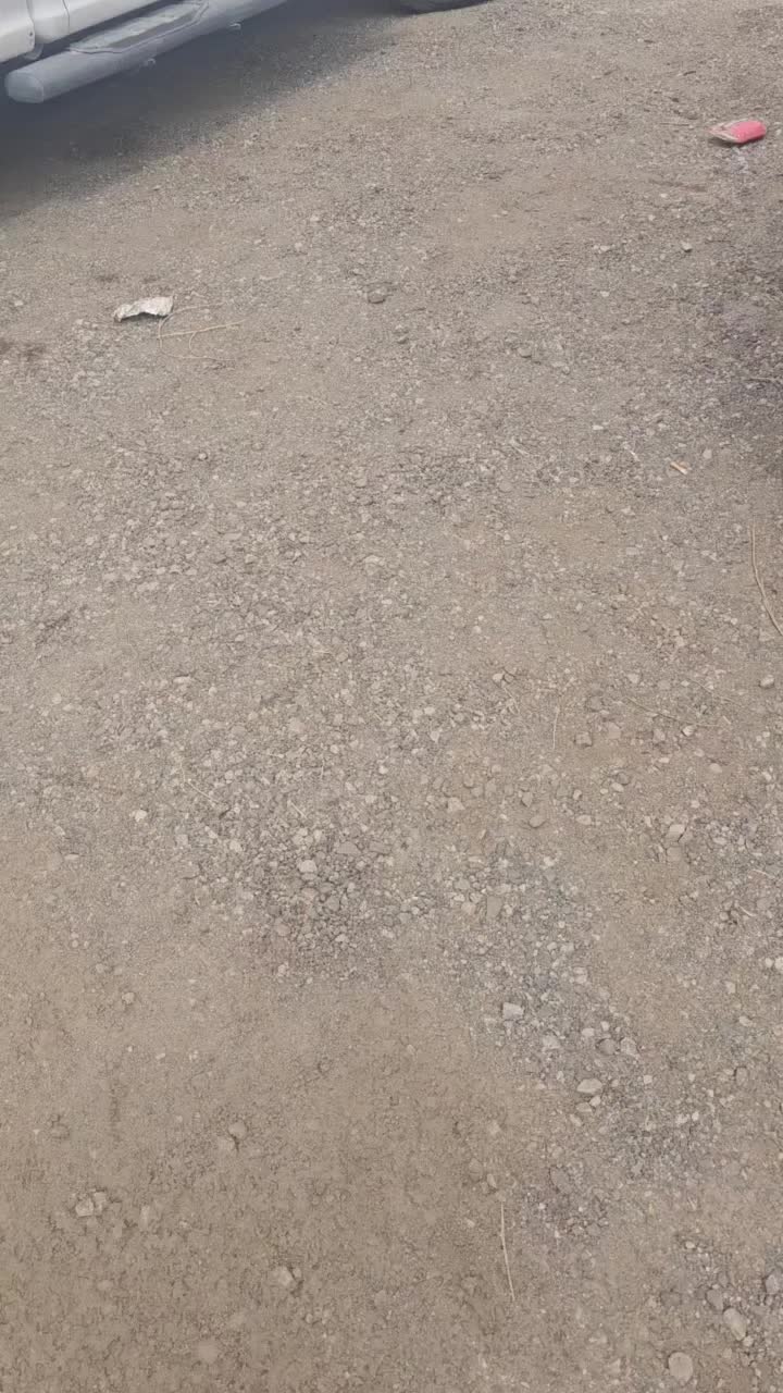 @devdadirtybird7
