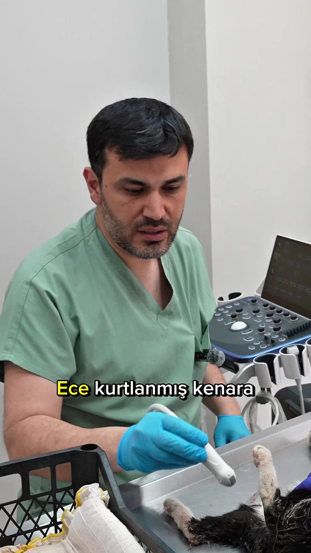 @Candanveteriner