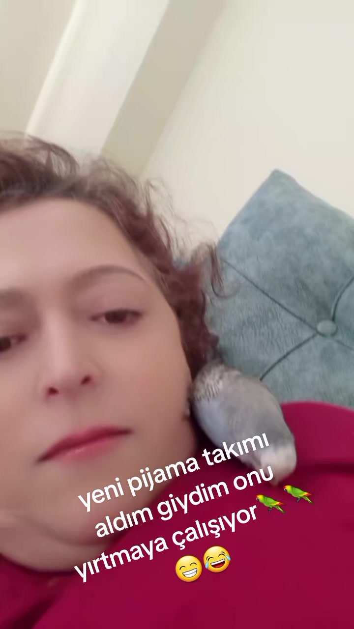 @Serpil Karaman