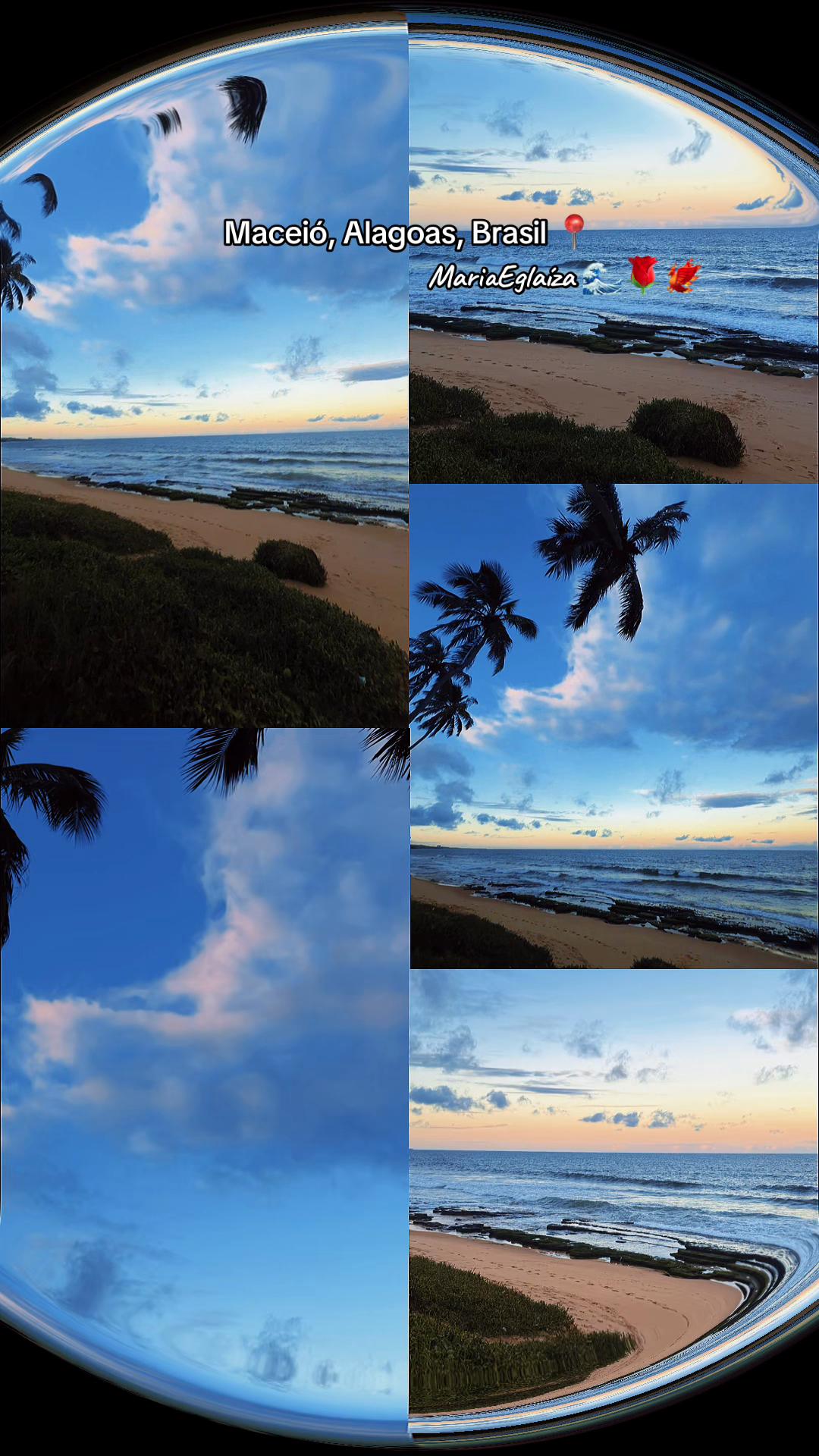 @MARIA🌊🌹🐦🔥