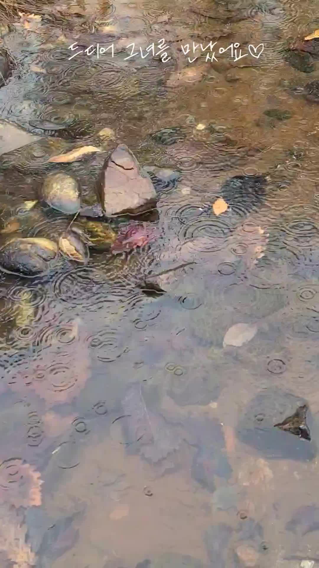 @DaCapOPark